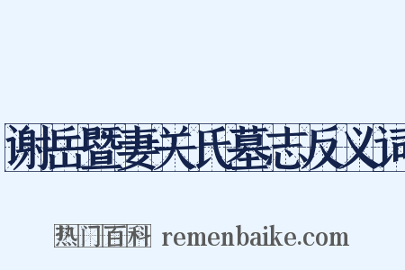 谢岳暨妻关氏墓志反义词是什么意思的图片